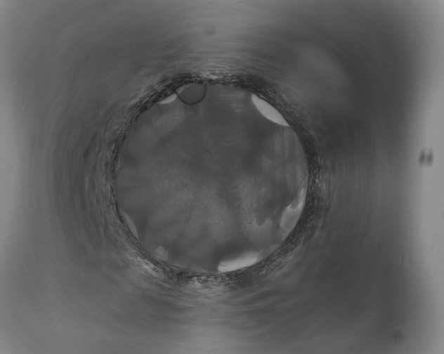 X0000111240817200907161339