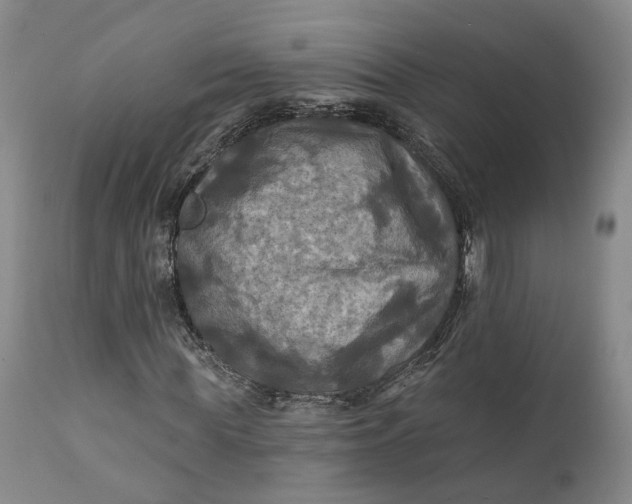 X0000111240819200907161339