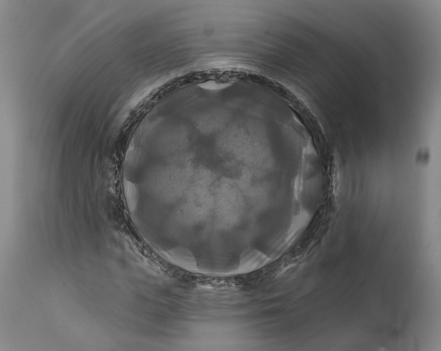 X0000111240823200907161339