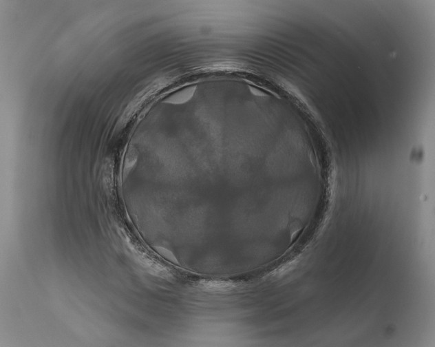 X0000111240825200907161339