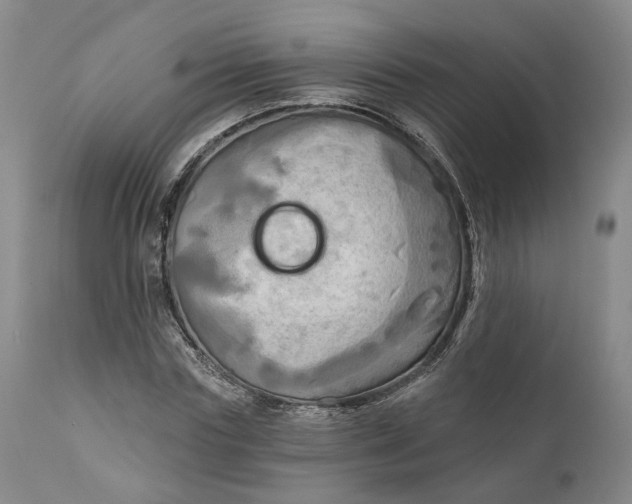 X0000111240827200907161339