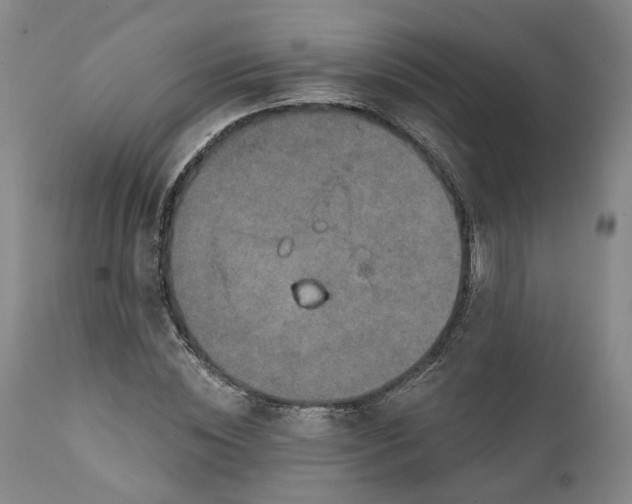 X0000111240828200907161339