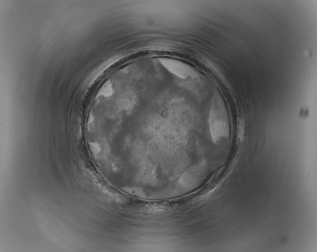 X0000111240829200907161339