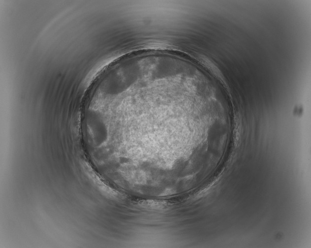 X0000111240831200907161339