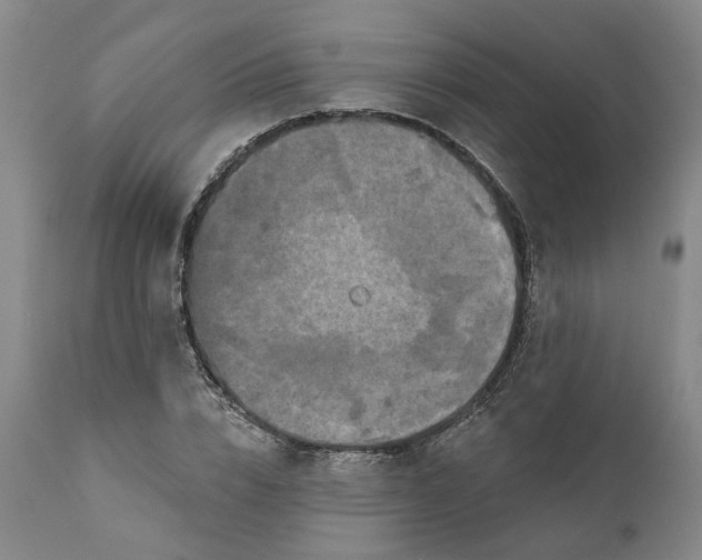 X0000111240832200907161339