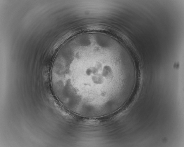 X0000111240833200907161339