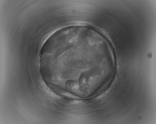 X0000111240835200907161339