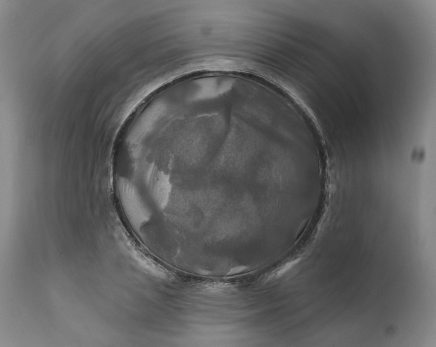 X0000111240837200907161339