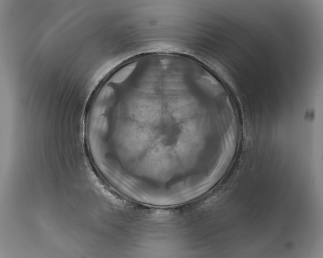 X0000111240839200907161339