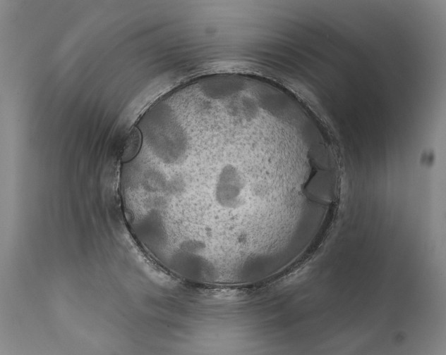 X0000111240841200907161339