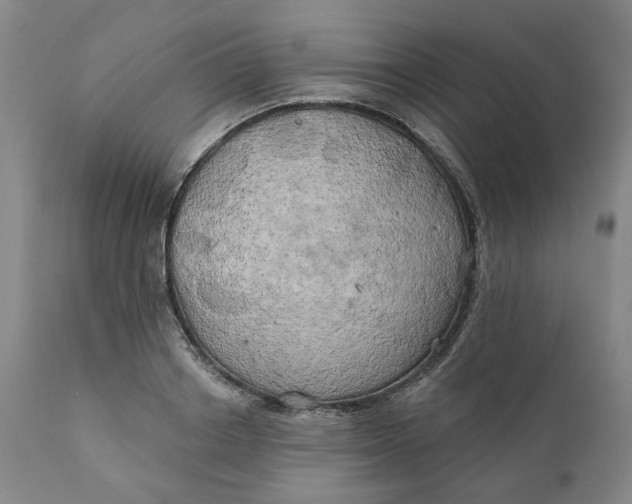 X0000111240842200907161339