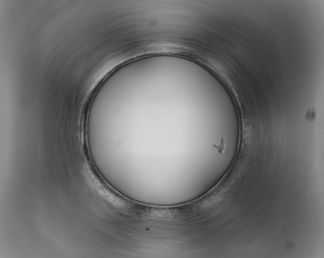 X0000111240843200907161339