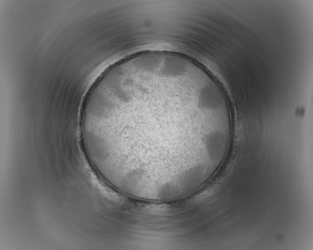 X0000111240845200907161339