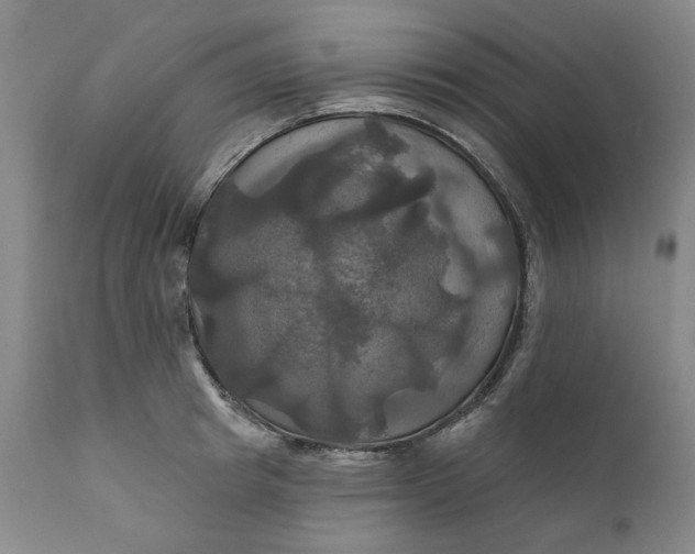 X0000111240849200907161339