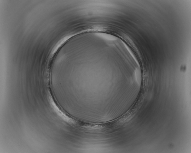 X0000111240851200907161339