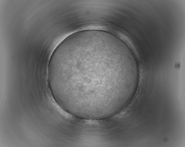 X0000111240852200907161339