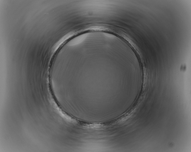 X0000111240853200907161339