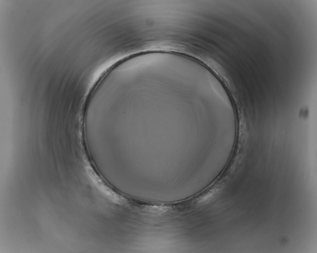 X0000111240854200907161339