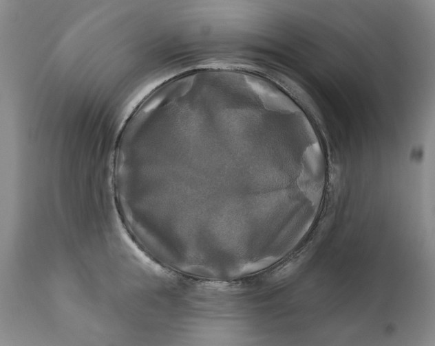 X0000111240855200907161339