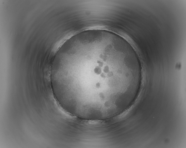 X0000111240857200907161339