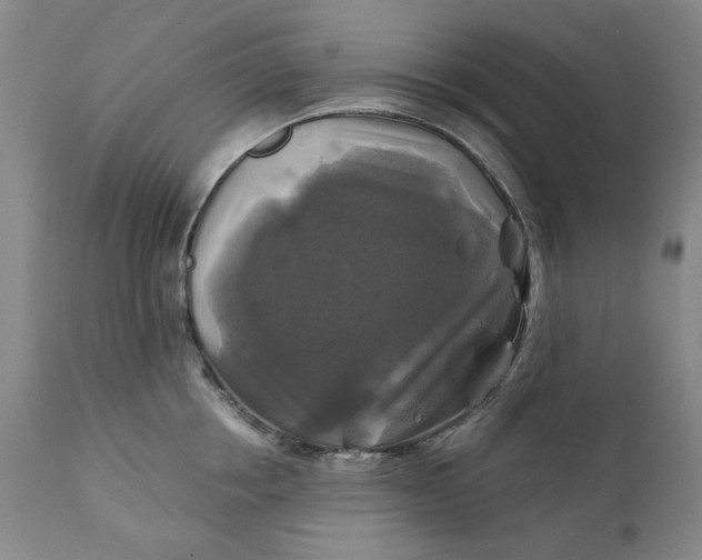 X0000111240858200907161339