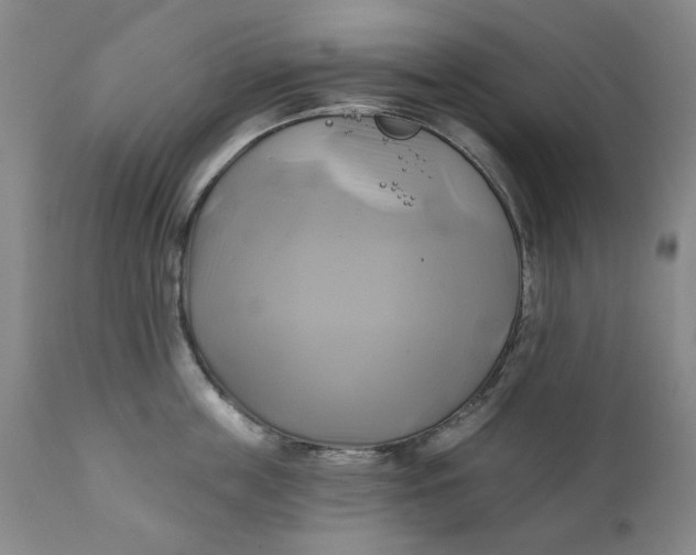 X0000111240859200907161339