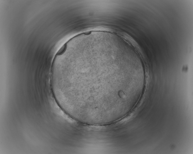 X0000111240860200907161339