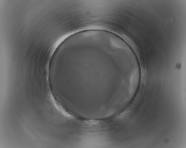 X0000111240862200907161339