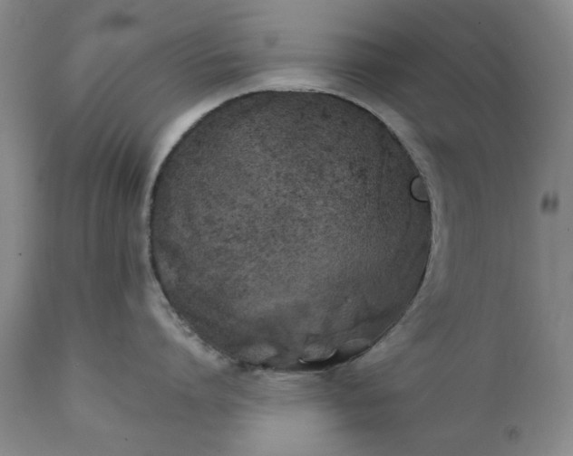 X0000111240864200907161339