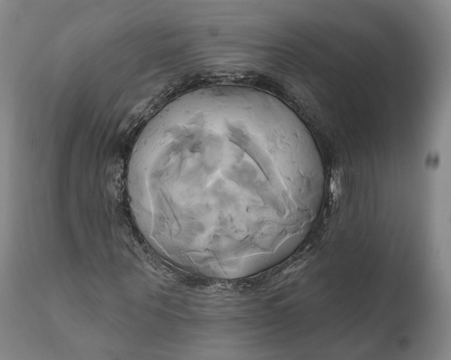 X0000111240867200907161339