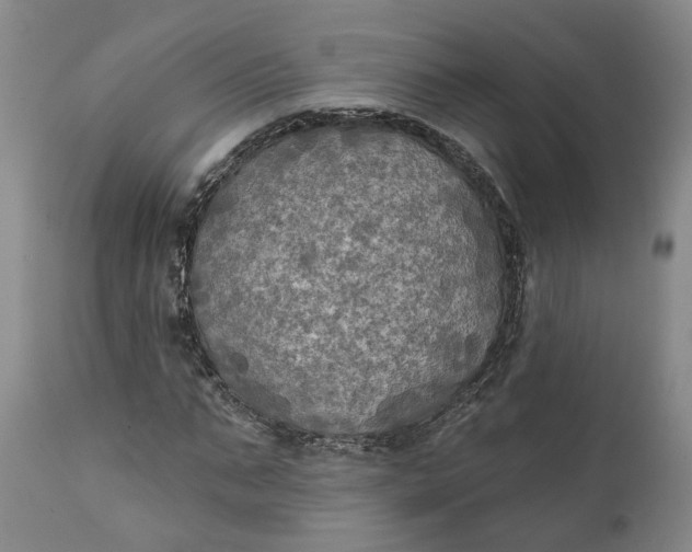 X0000111240871200907161338