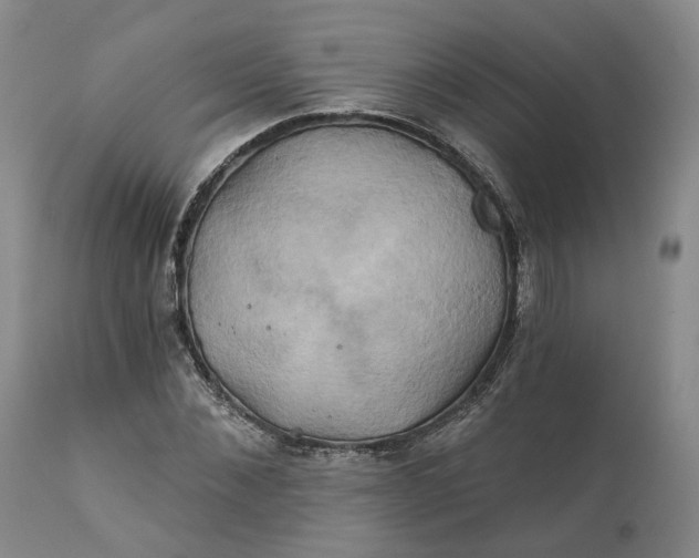 X0000111240876200907161338