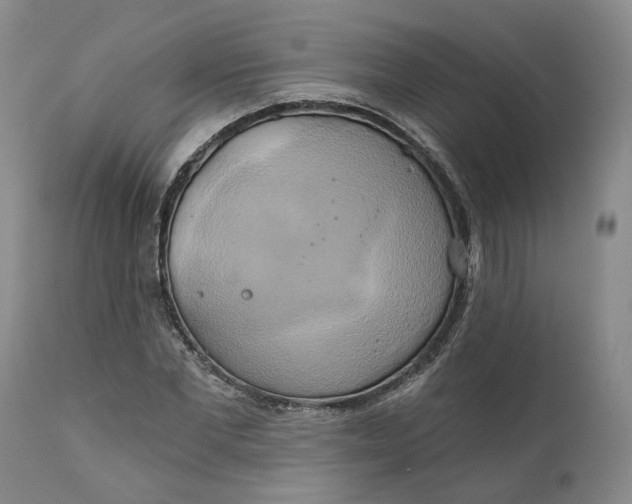 X0000111240877200907161338