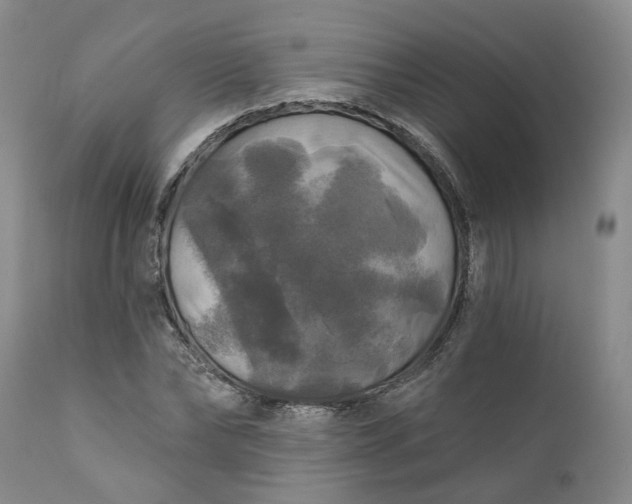 X0000111240878200907161338