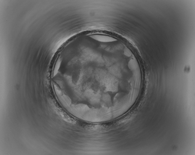 X0000111240879200907161338