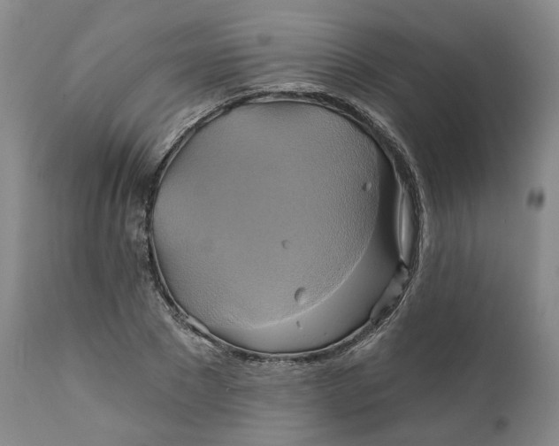 X0000111240881200907161338