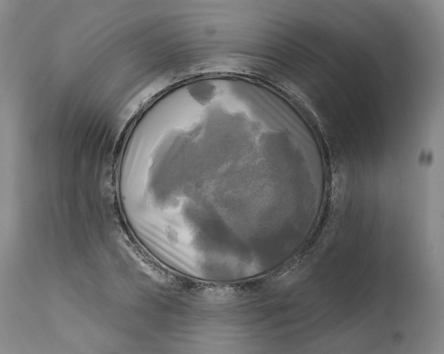 X0000111240882200907161338