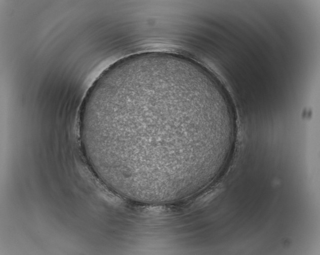 X0000111240883200907161338