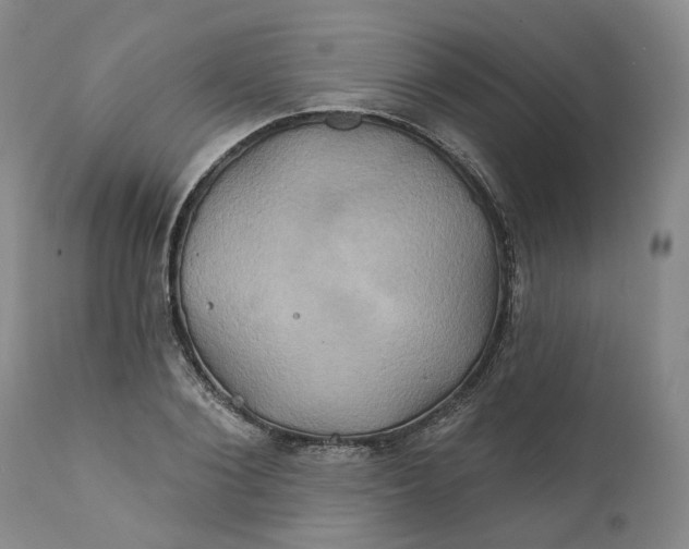 X0000111240884200907161338