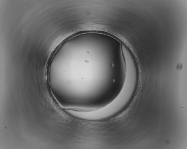 X0000111240885200907161338