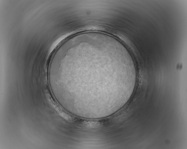 X0000111240886200907161338