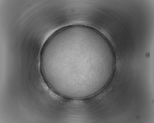 X0000111240888200907161338