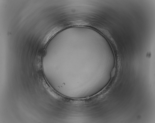 X0000111240889200907161338