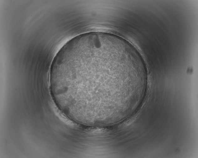 X0000111240891200907161338