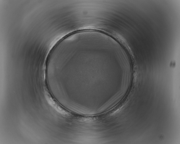 X0000111240892200907161338