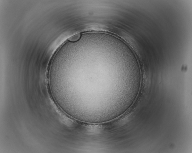 X0000111240893200907161338