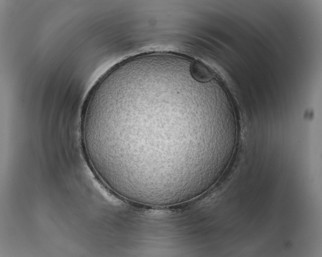 X0000111240894200907161338