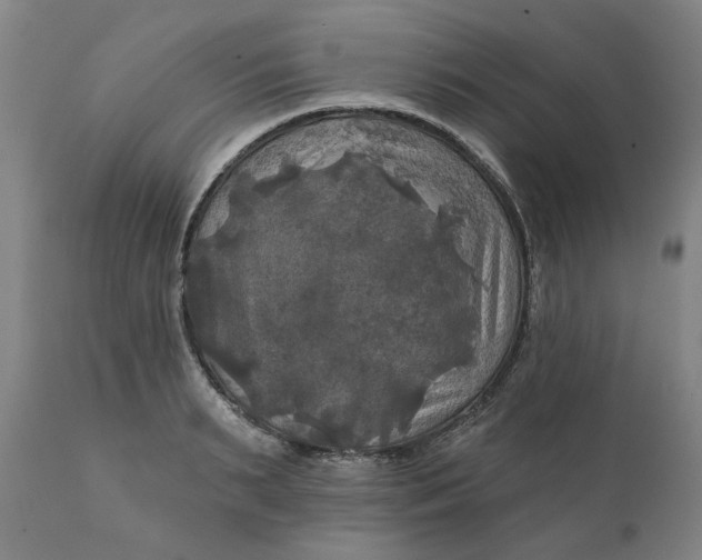 X0000111240895200907161338