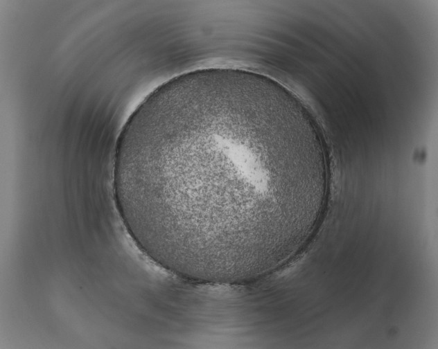 X0000111240896200907161338