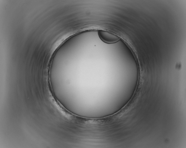 X0000111240898200907161338